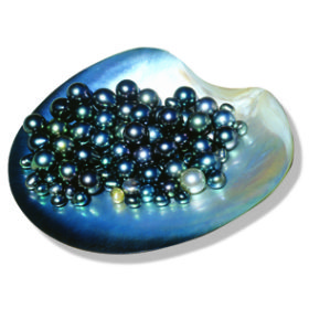 Black Pearls in Oyster